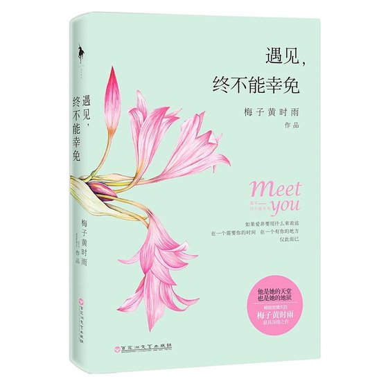 遇见，终不能幸免（出书版）